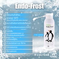 Coltene Endo Frost Endo Ice  -2